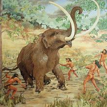 Early man hunted mastodon that roamed during the last Ice Age.  The Mastodon Hunt. Painting by Carlyle Urello, courtesy of the Tennessee State Museum.